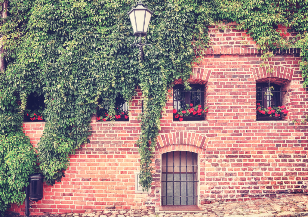 Vine growing over an old red brick house | Featured image for How to Create a Brick Wall Effect blog from BetaBoard.