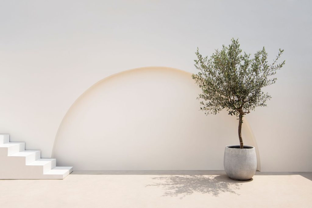 Mediterranean minimal wall and plant exterior architecture | Featured image for the External Feature Wall Ideas blog from BetaBoard.